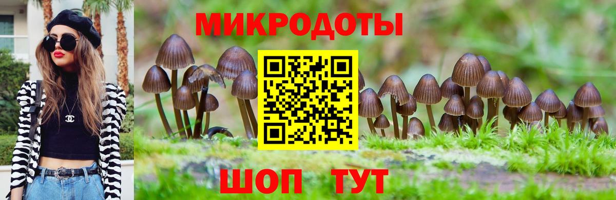 Чебоксары  Псилоцибиновые грибы GOLDEN TEACHER  Вход с VPN 